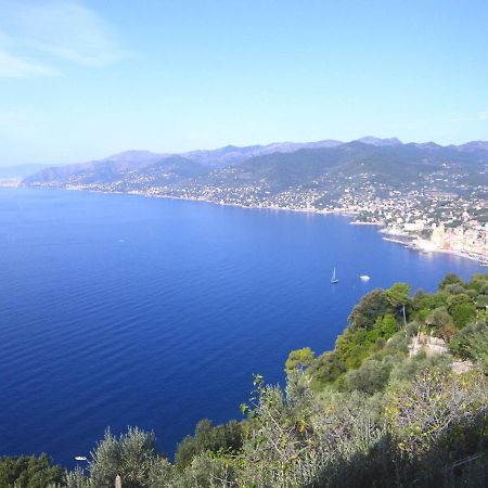 Portofino Mountain Unique Love Nest San Rocco  Ngoại thất bức ảnh